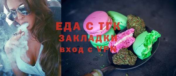 гашик Вяземский